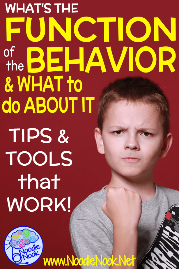 Function of Behavior and What to Do About It! | Noodle Nook