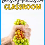 Sensory Inclusive Classroom (How to Tips)