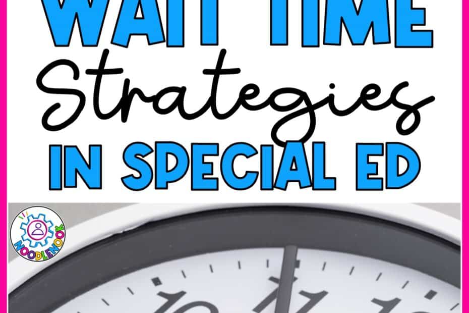 Wait Time Strategies in Special Education via Noodle Nook